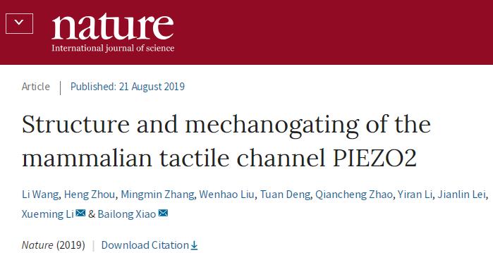 冷冻电镜最新研究,冷冻电镜研究成果涌现
