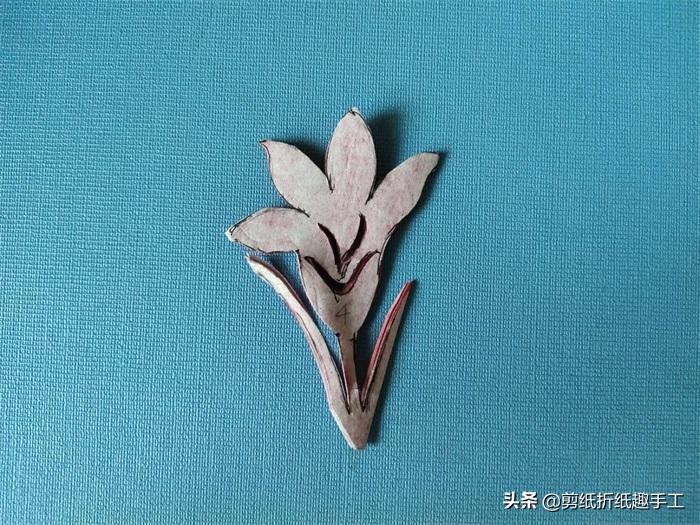 百合花怎么剪,百合花怎么剪才能开花