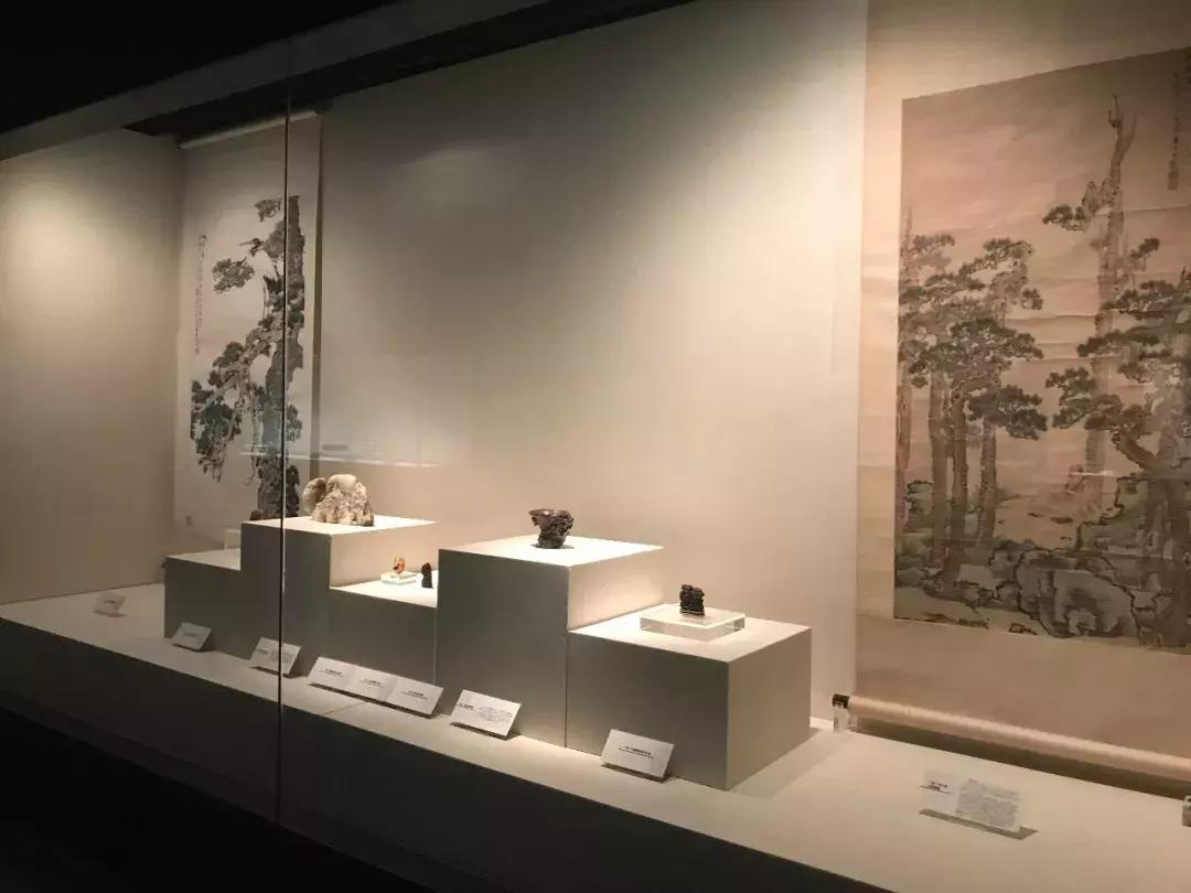 天津哪几个博物馆一定要去,必去天津各大博物馆