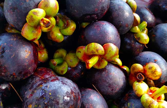 山竹被称为“水果皇后”，养生专家却提醒：以下几种人群不要吃！