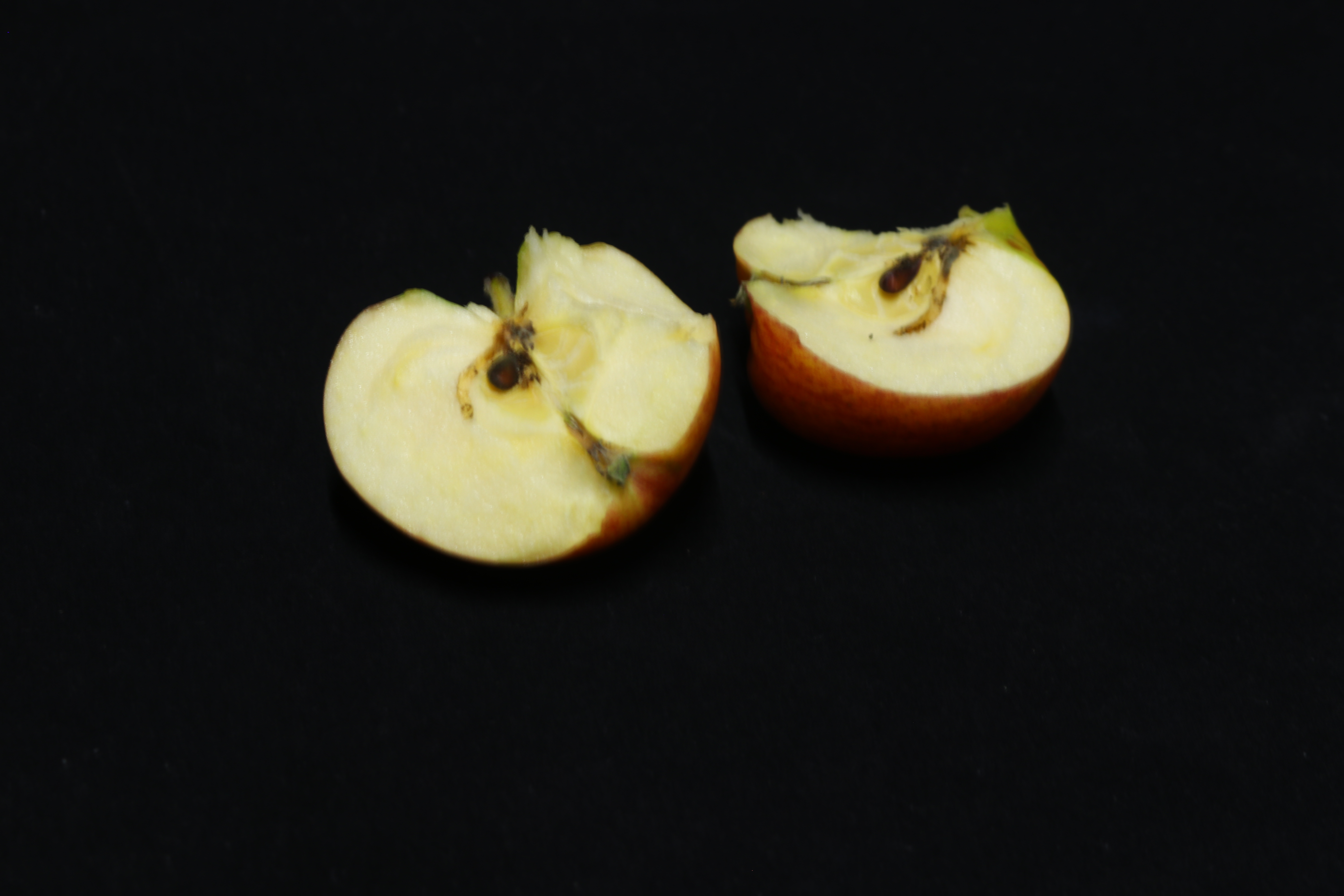 试吃“扬言淘汰嘎啦，且不用套袋”的鲁丽苹果，给大家一些建议