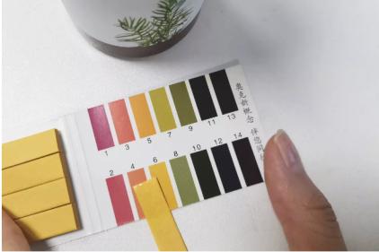 澳洲茶树精油洗发水去头屑,头发一摸全是油