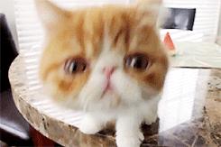 *处私**痒痒痒，「洗洗」能止痒？你还要被骗多久