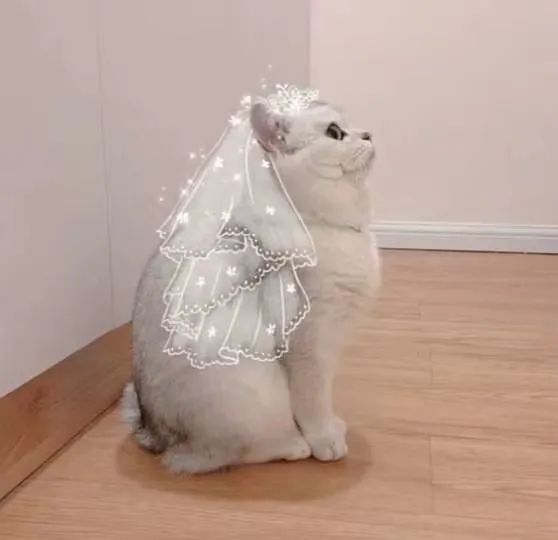 主播需要学习什么成为初级主播,正在努力成为一名有实力的主播