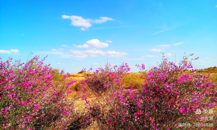内蒙古二连浩特地图,内蒙古二连浩特机场