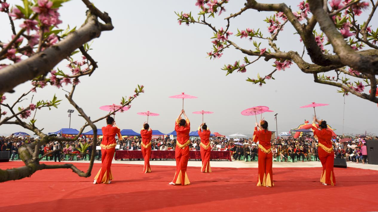 沱江桃花在哪里,沱江赏桃花