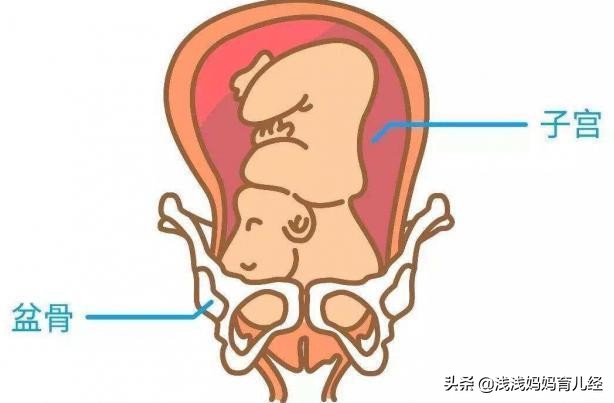 宫颈粘液栓流出没有见红没流羊水,临产前宫颈粘液和白带的区别