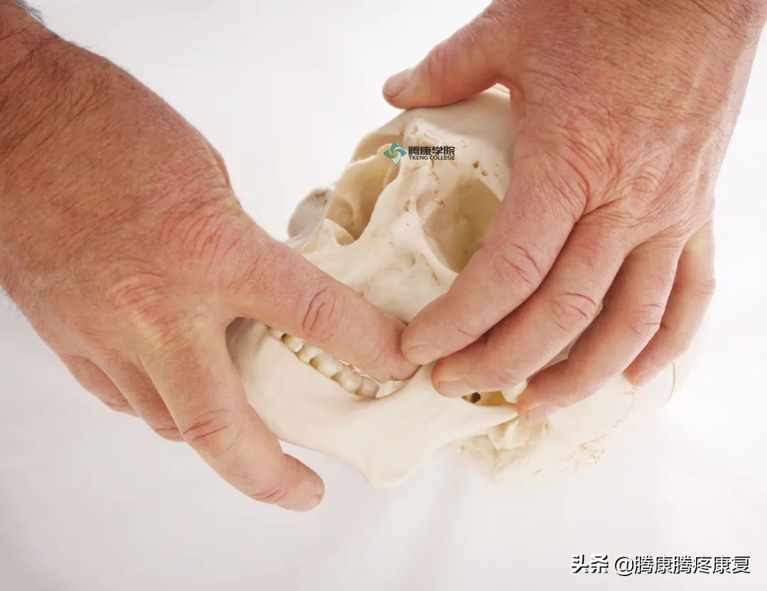 咀嚼肌最好的训练方法,咀嚼肌疾病治疗方法