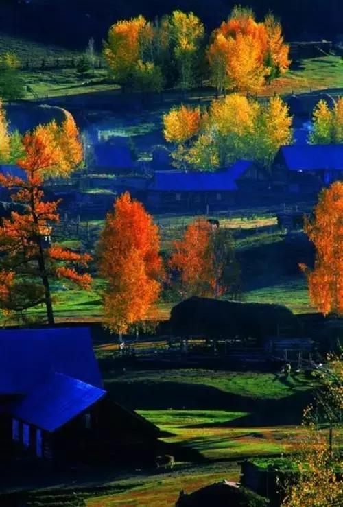 秋天落叶一拍都是一幅画,秋天的景色美得好像一幅画