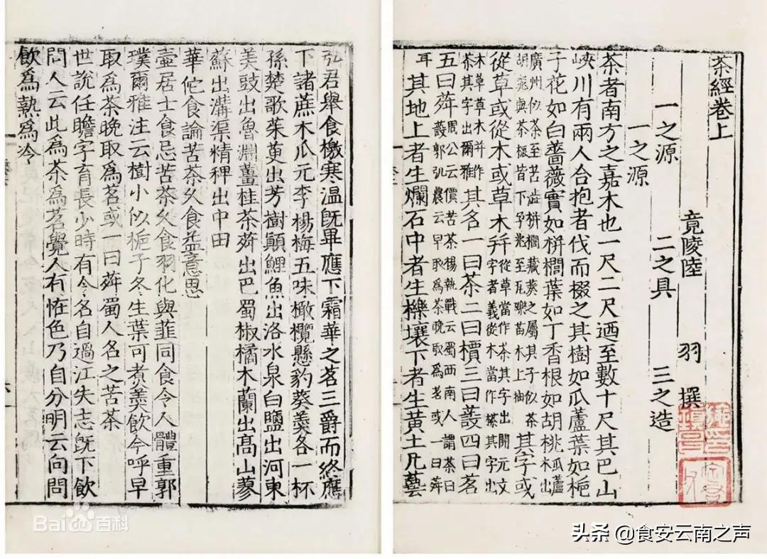 大龙井瀑布历史,梅家坞龙井历史