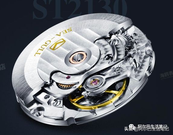 我和我的国产车环球旅行,国产表国货之光