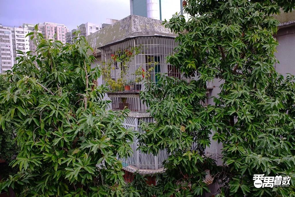 在番禺住哪里比较好,在番禺居住怎么样