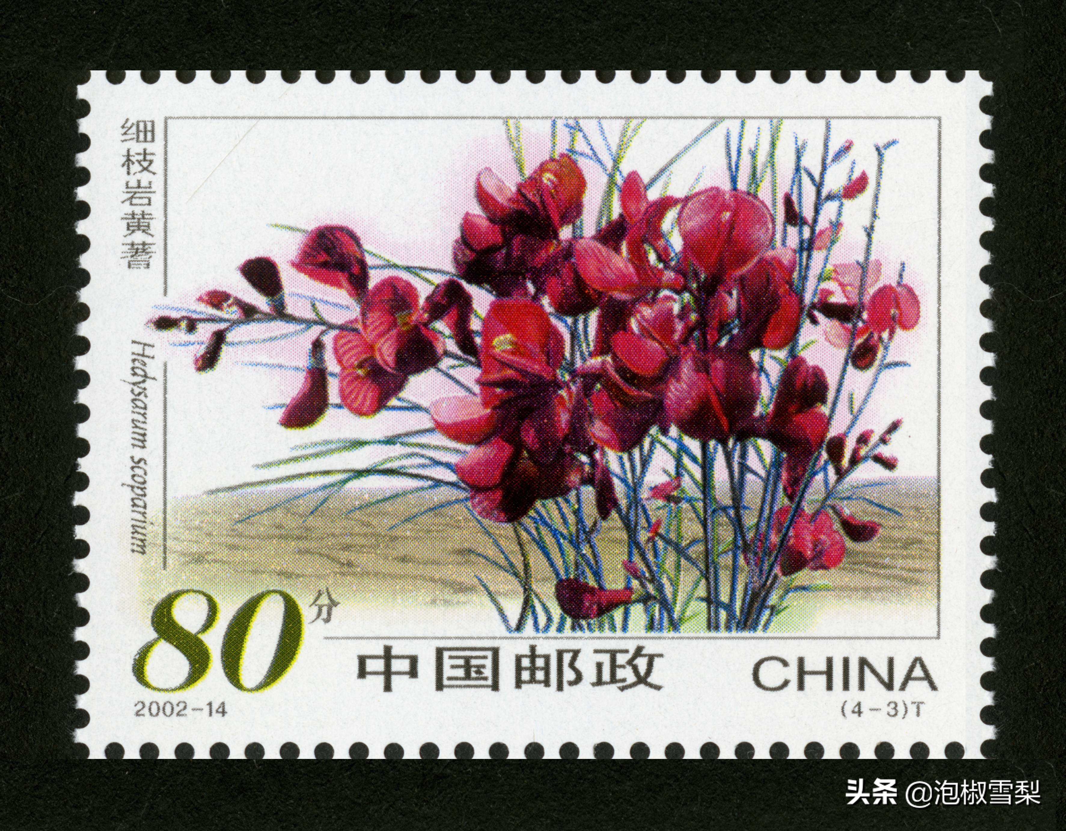 中国男足.七仙女.跆拳道.八大山人.聊斋｜2002全年邮票118张图片