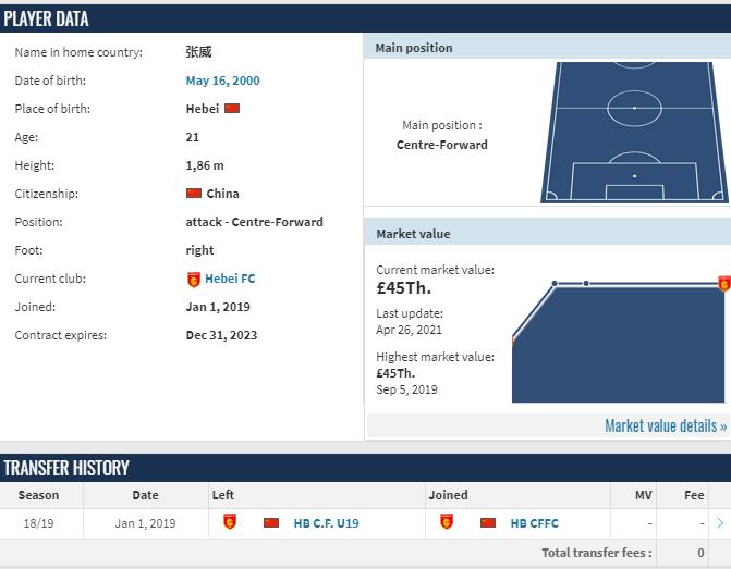 谁才是真正足球之王,河北队青训