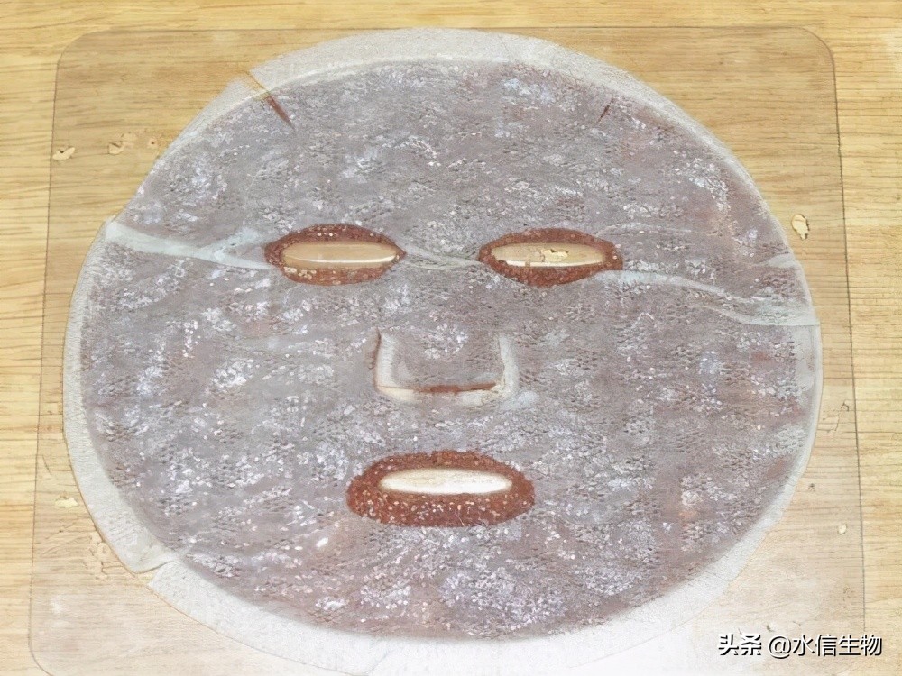 海藻面膜的原理是什么,优质海藻面膜真的好吗