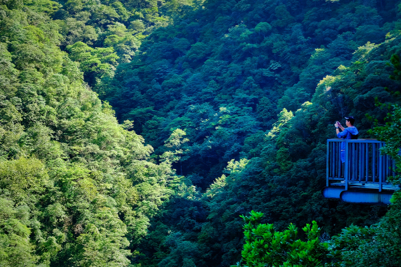 温州文成自驾游攻略最佳路线推荐,温州旅游攻略泰顺路线推荐