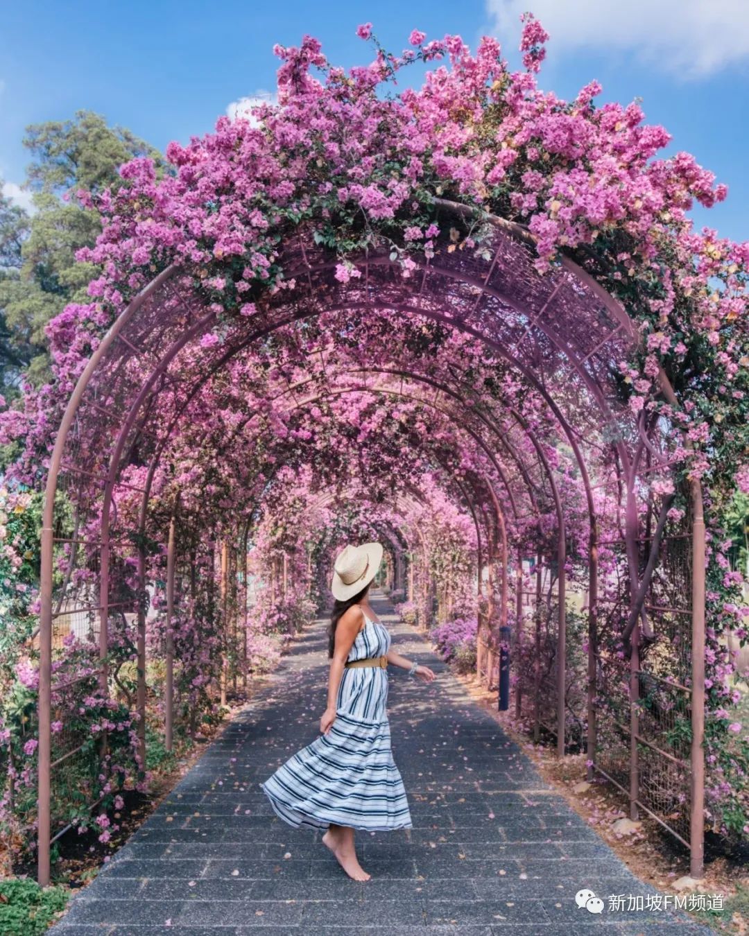 新加坡网红拍照店,新加坡网红点如何拍照