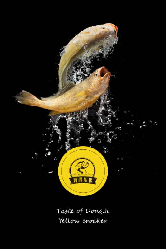 宴遇东极大黄鱼,宴遇东极大黄鱼带给你海的味道