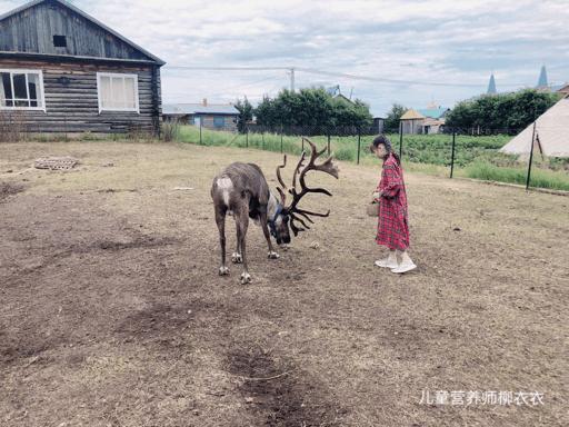 暑假内蒙古旅游攻略亲子,暑假亲子游玩内蒙古5天4夜