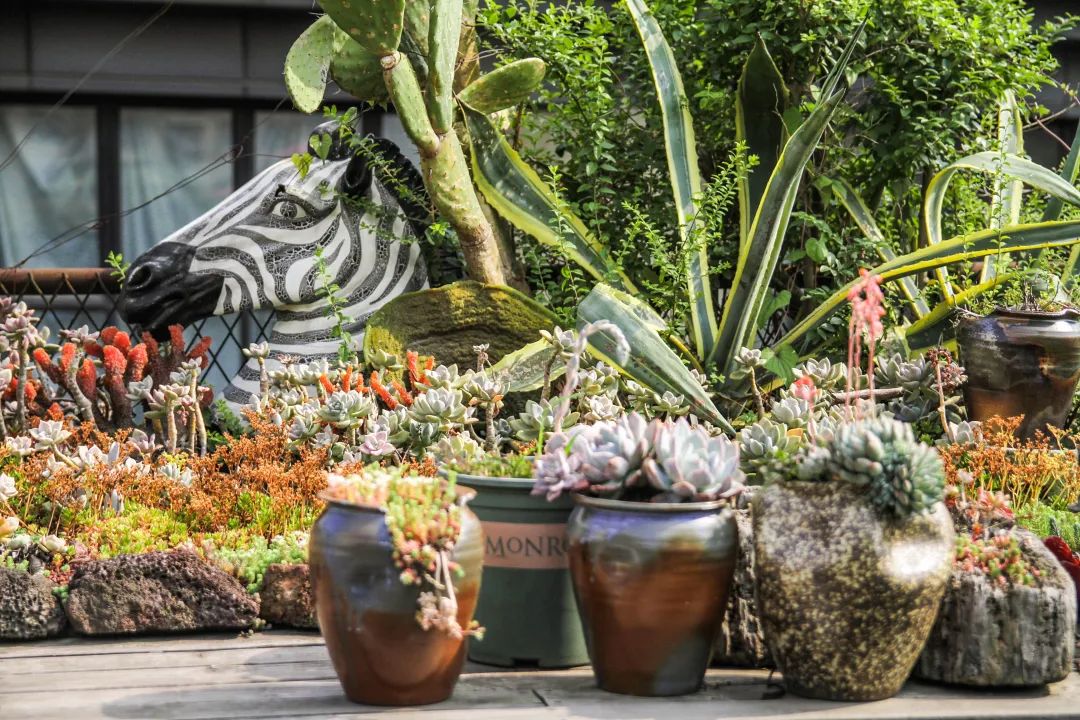 七夕节在上海外滩,七夕节上海外滩