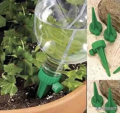 制作简易定时浇水装置,出门一个月的懒人浇水神器制作