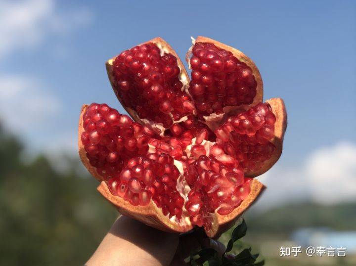 水果赌石,水果界的红石榴