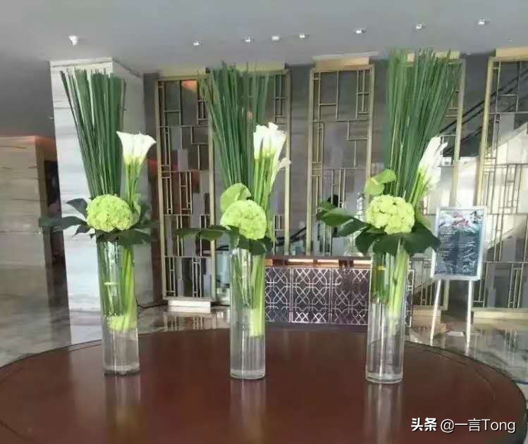 贵族版马蹄莲,高贵雅致马蹄莲