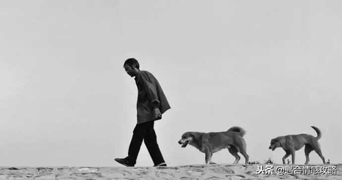 人到中年离婚了该怎么选择,人到中年离婚了该怎么办