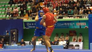 鲁鄂接腿大战，付高峰师弟技高一筹