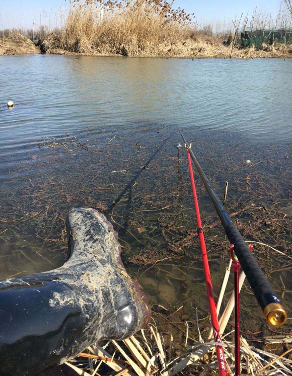 天气很好鱼不开口什么原因,明明天气不好怎么办