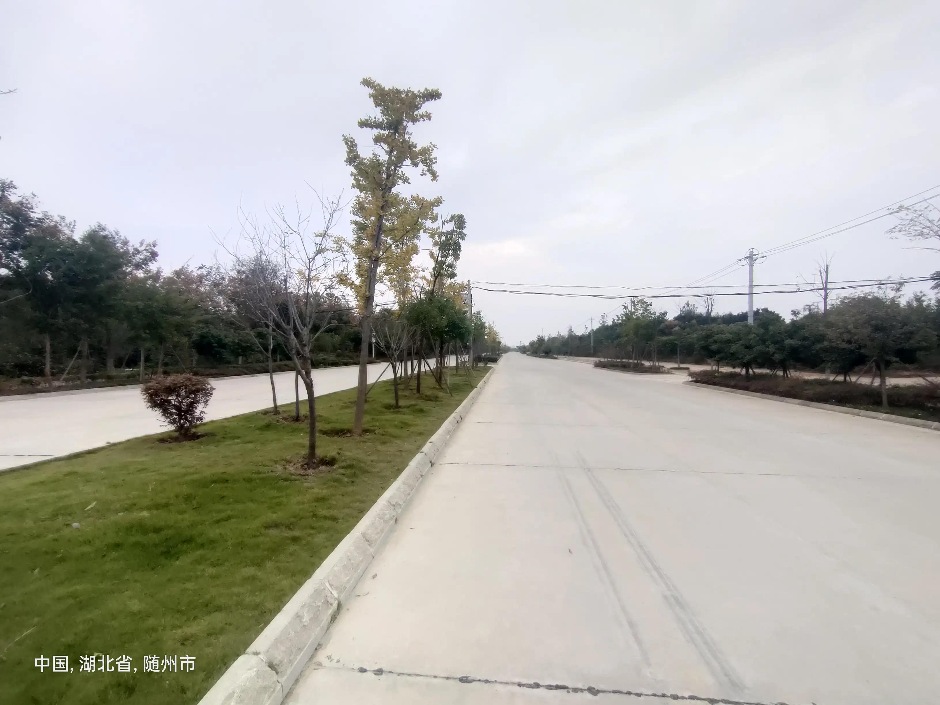 婀栧寳闅忓窞瀵ㄦ咕,闅忓窞甯備笢鍩庡尯瀵ㄦ咕