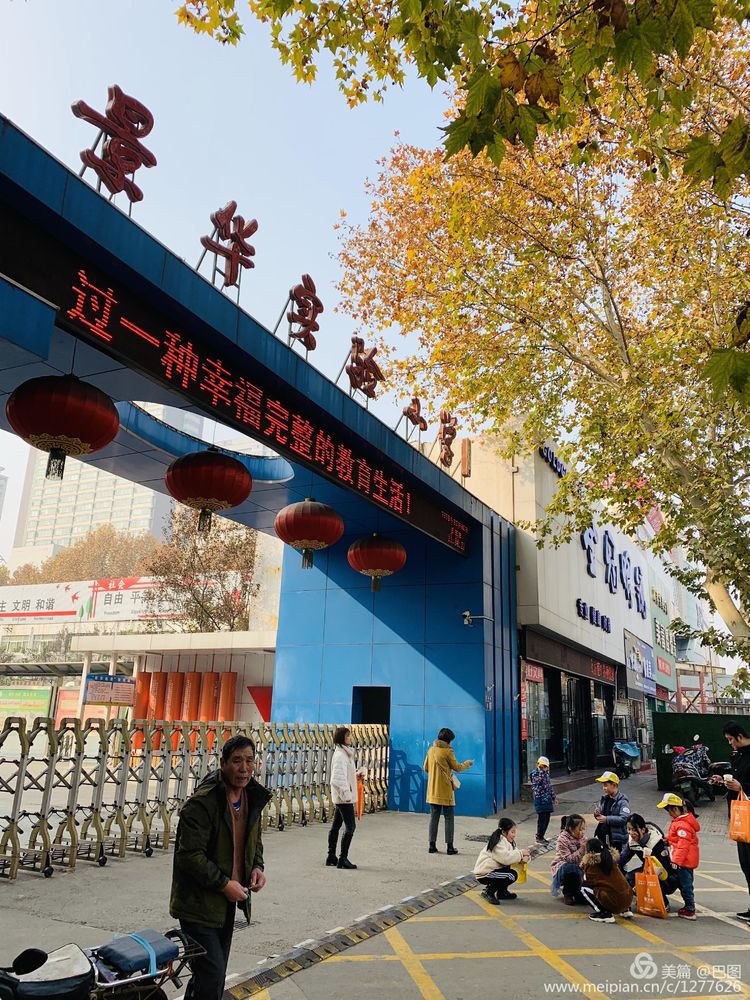 涧西牡丹广场老照片,洛阳牡丹手机拍照