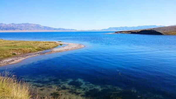 “*疆新**比任何地方安全”一文阅读者众,诸多回复让我流泪