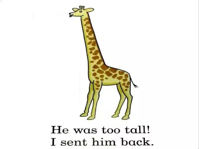 dearzoo英文绘本音频,dearzoo绘本讲解