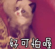 hpv感染转阴后几年不复发就安全了,得hpv不要慌这几个方法来让你转阴