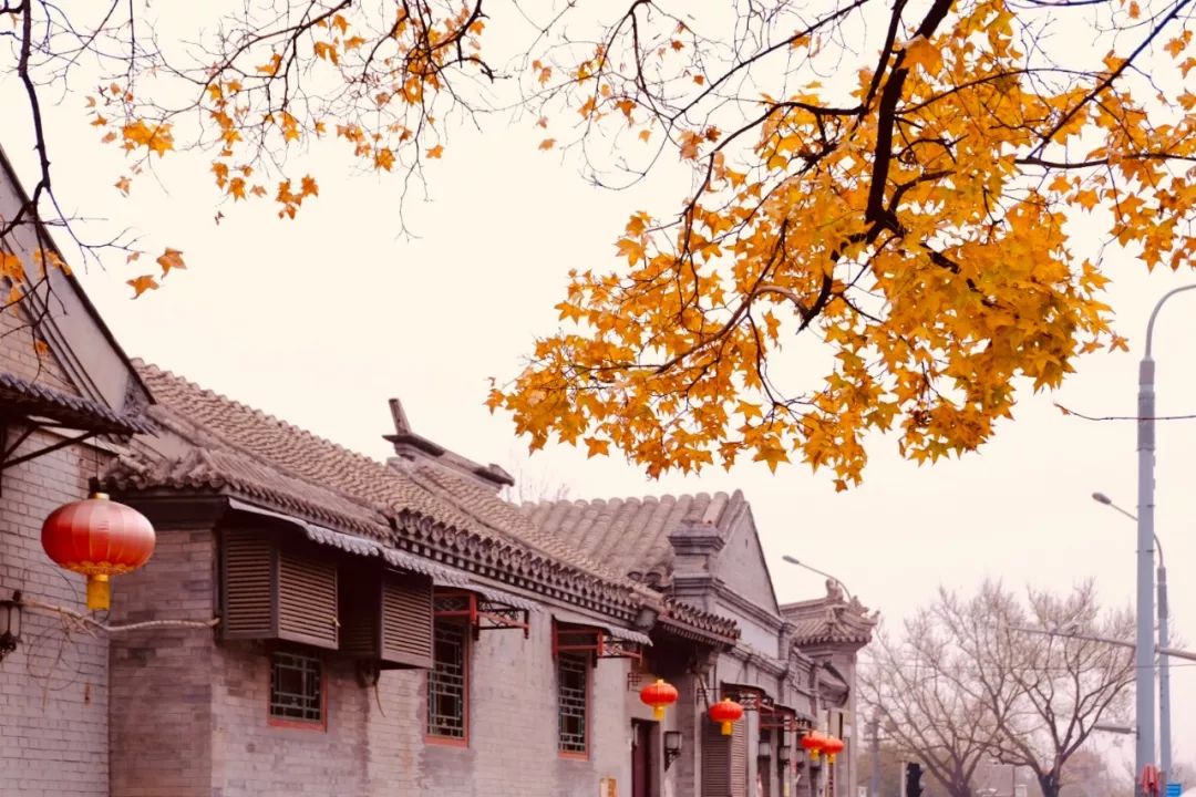 最值得去的小众打卡地,北京小众打卡地荣耀的绝美山顶