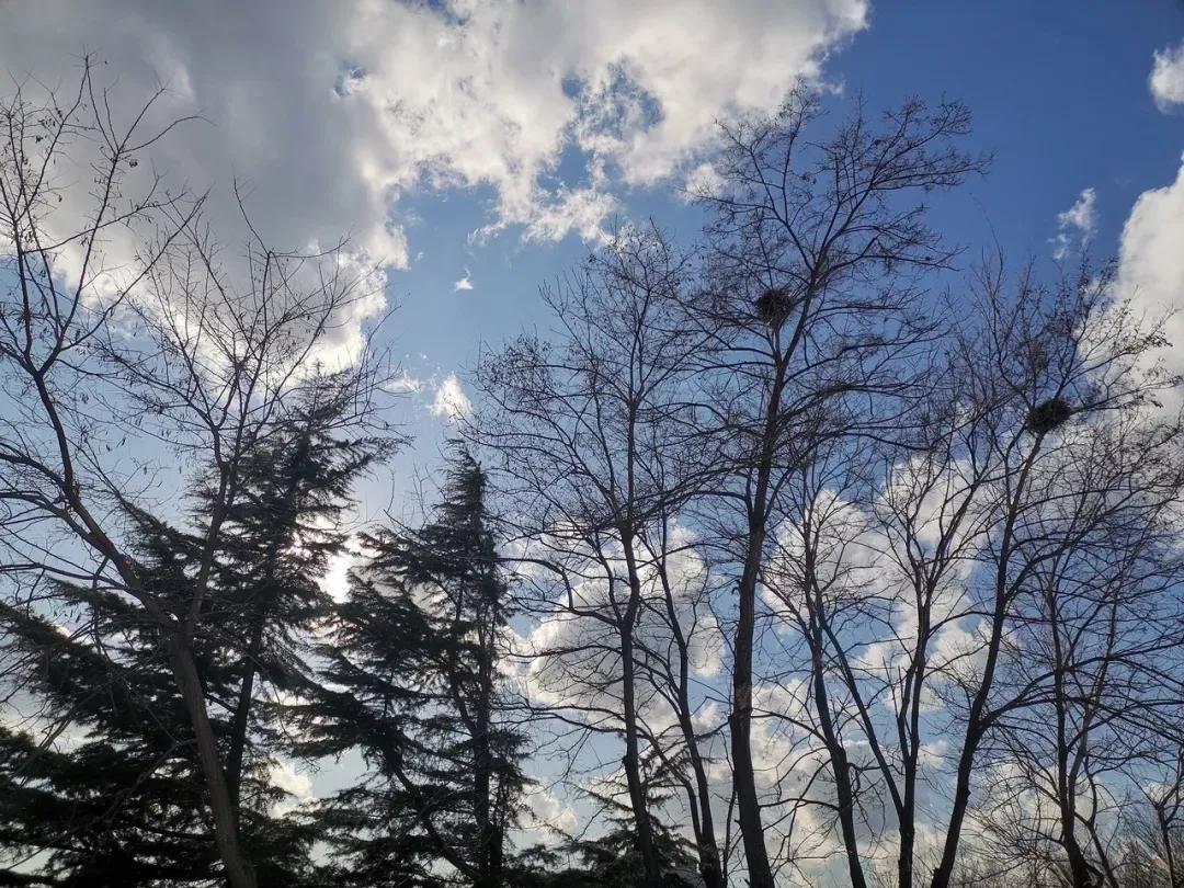 辽宁省民办大学（二）大连东软信息学院