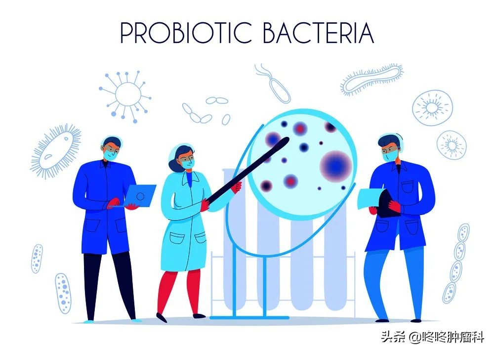 抗癌最好的益生菌排行榜,防癌的益生菌