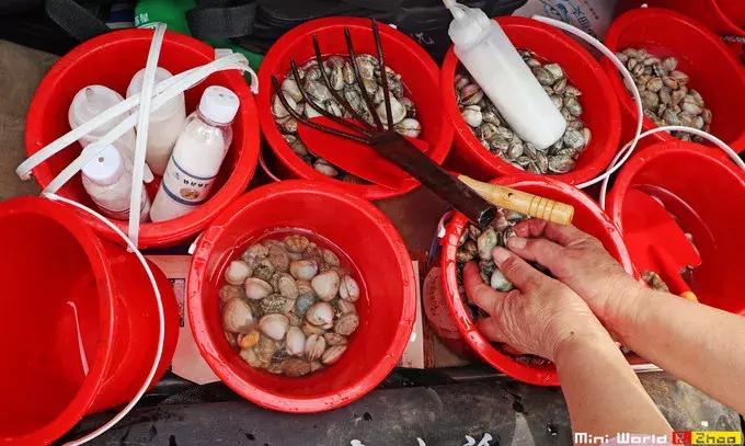 藏在日照的海边，竟然有一处世外桃源，赶海，捕鱼，温馨民宿……