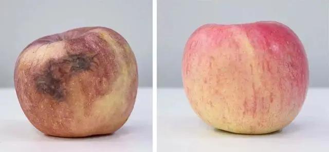 警惕冰箱里的杀手,冰箱内的腐臭味对身体有害吗