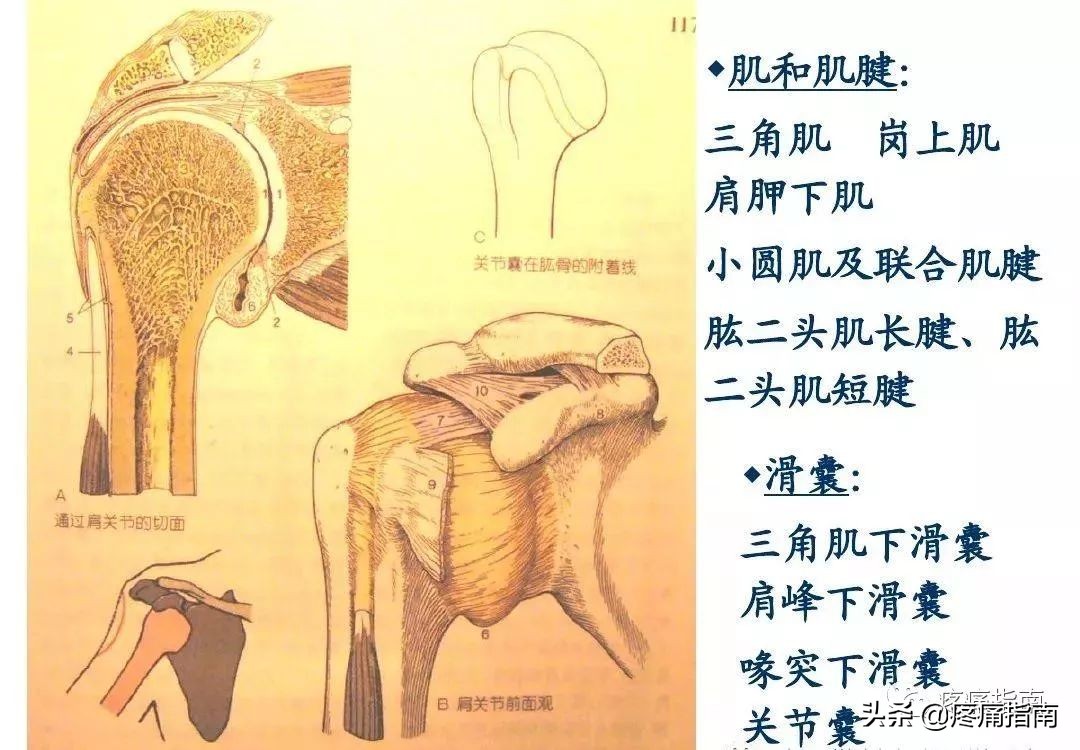 慢性疼痛常用的治疗方法,慢性疼痛常用治疗方法