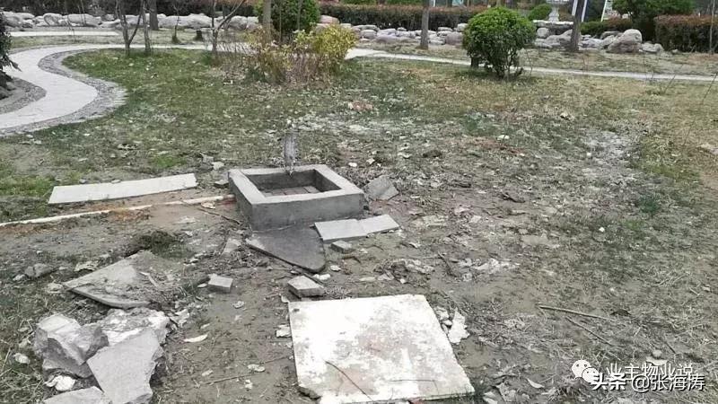 物业服务零投诉,福泽门物业现状