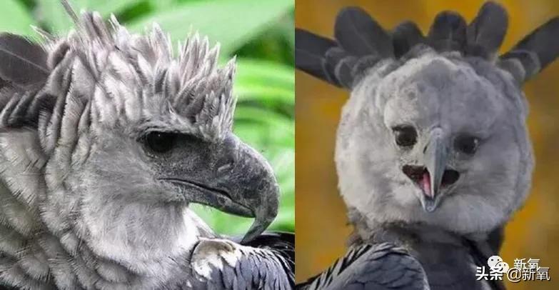 绝颜帅哥图片,绝帅二次元男生头像