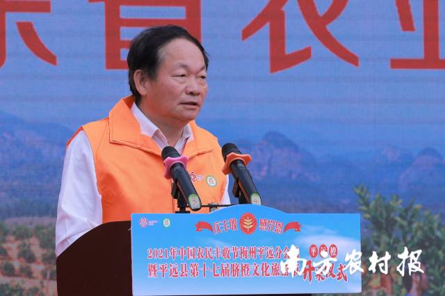 丰收节梅州,梅州丰收节高清图片