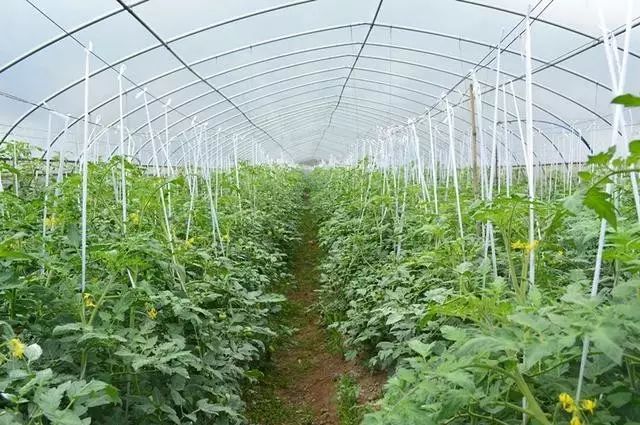 家庭农场怎么注册最好,家庭农场怎样能获批大的贷款