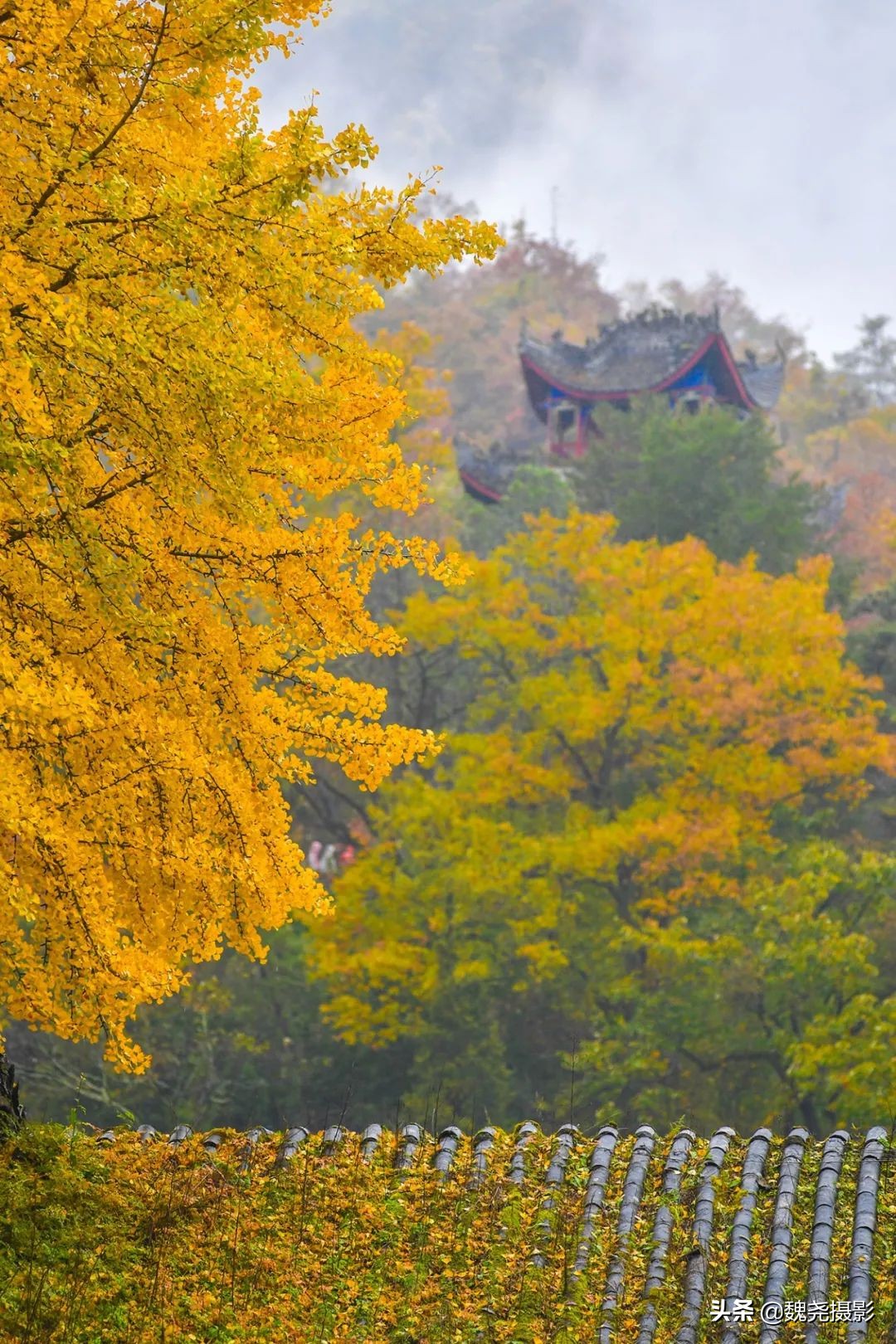 留坝秦岭之夜,留坝秦岭森林公园