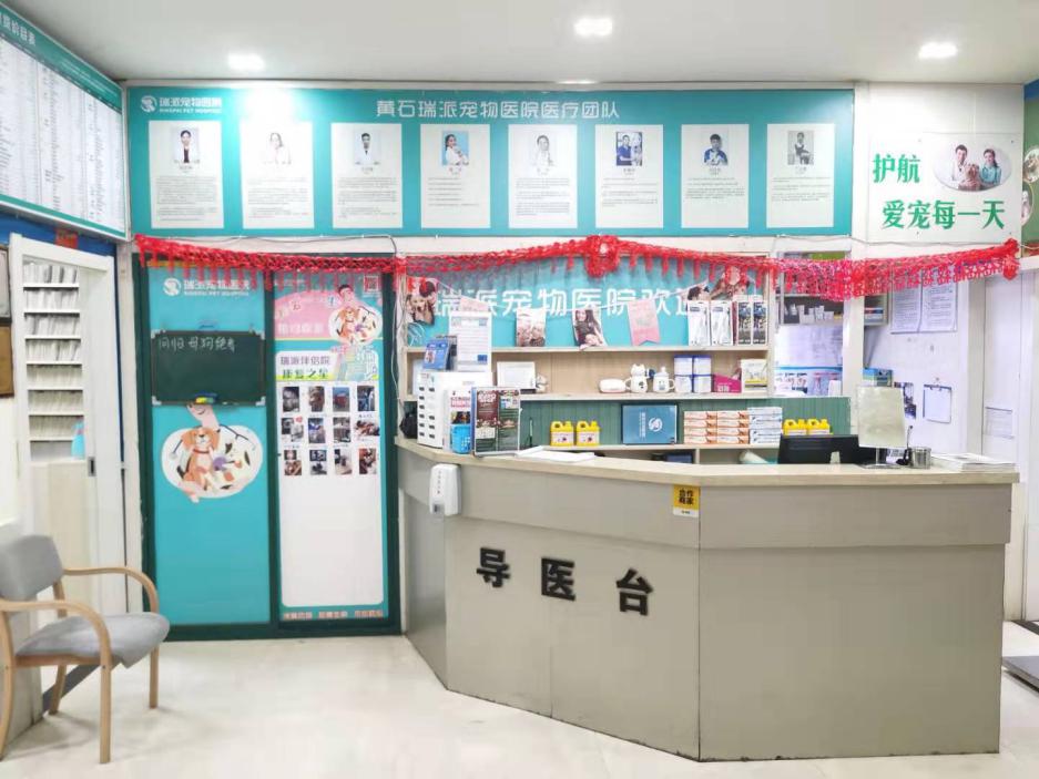 瑞派宠物医院告诉你最牛医院的正确打开方式