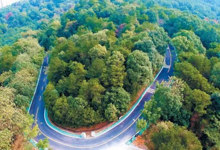 韶关市区有哪些休闲公园,韶关多人好玩的娱乐场所