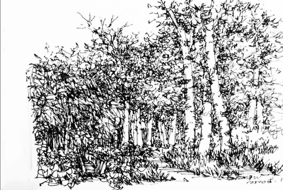 退休了想做什么工作,退休之后你想做什么