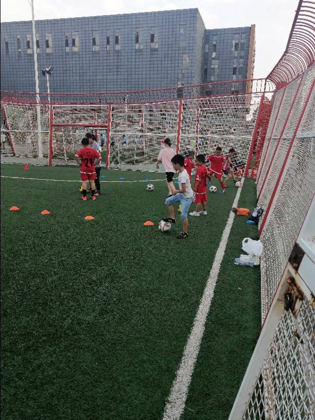 沈阳少儿足球,沈阳辽小虎足球俱乐部
